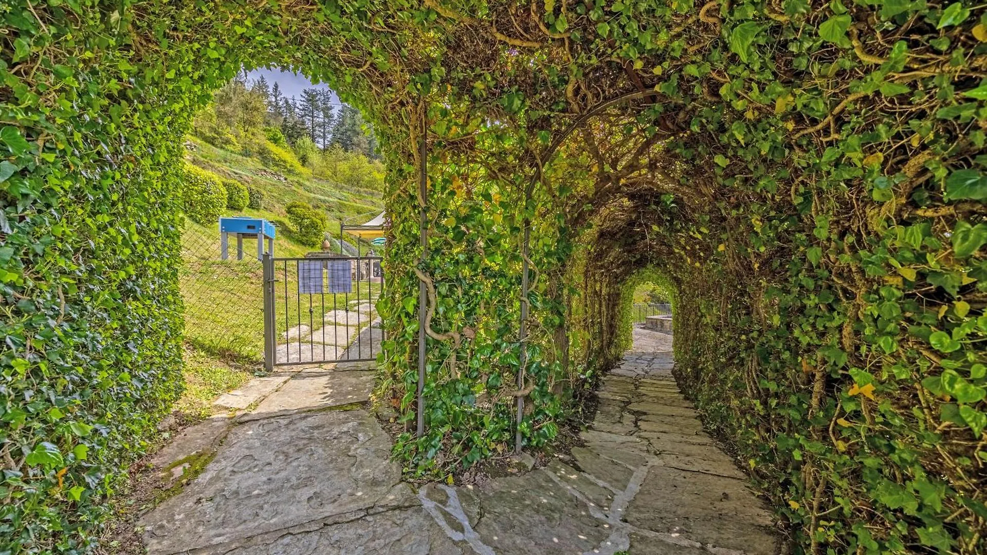 Villa La Rosa Cortona Włochy